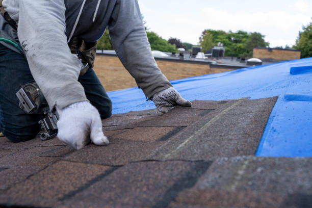 Waterproofing in Ina, IL