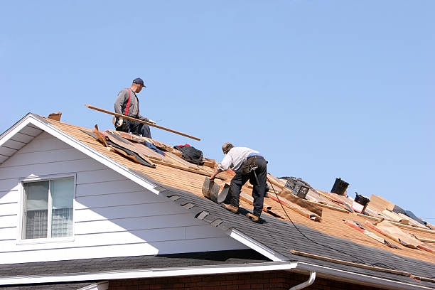 Best Rubber Roofing (EPDM, TPO)  in Ina, IL